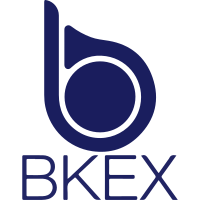 Scalable Vector Graphics (SVG) logo of bkex.com