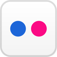 Scalable Vector Graphics (SVG) logo of flickr.com
